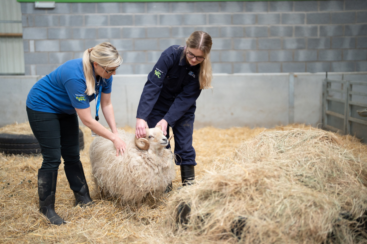 Animal Management Weston College